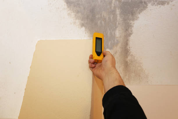 Best Commercial Mold Inspection  in Upper Exeter, PA